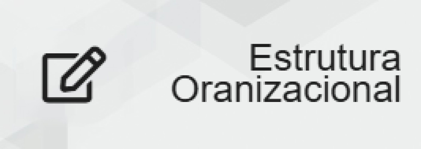 Estrutura Oranizacional