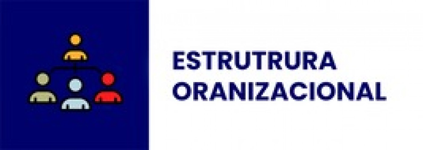 Estrutura Oranizacional